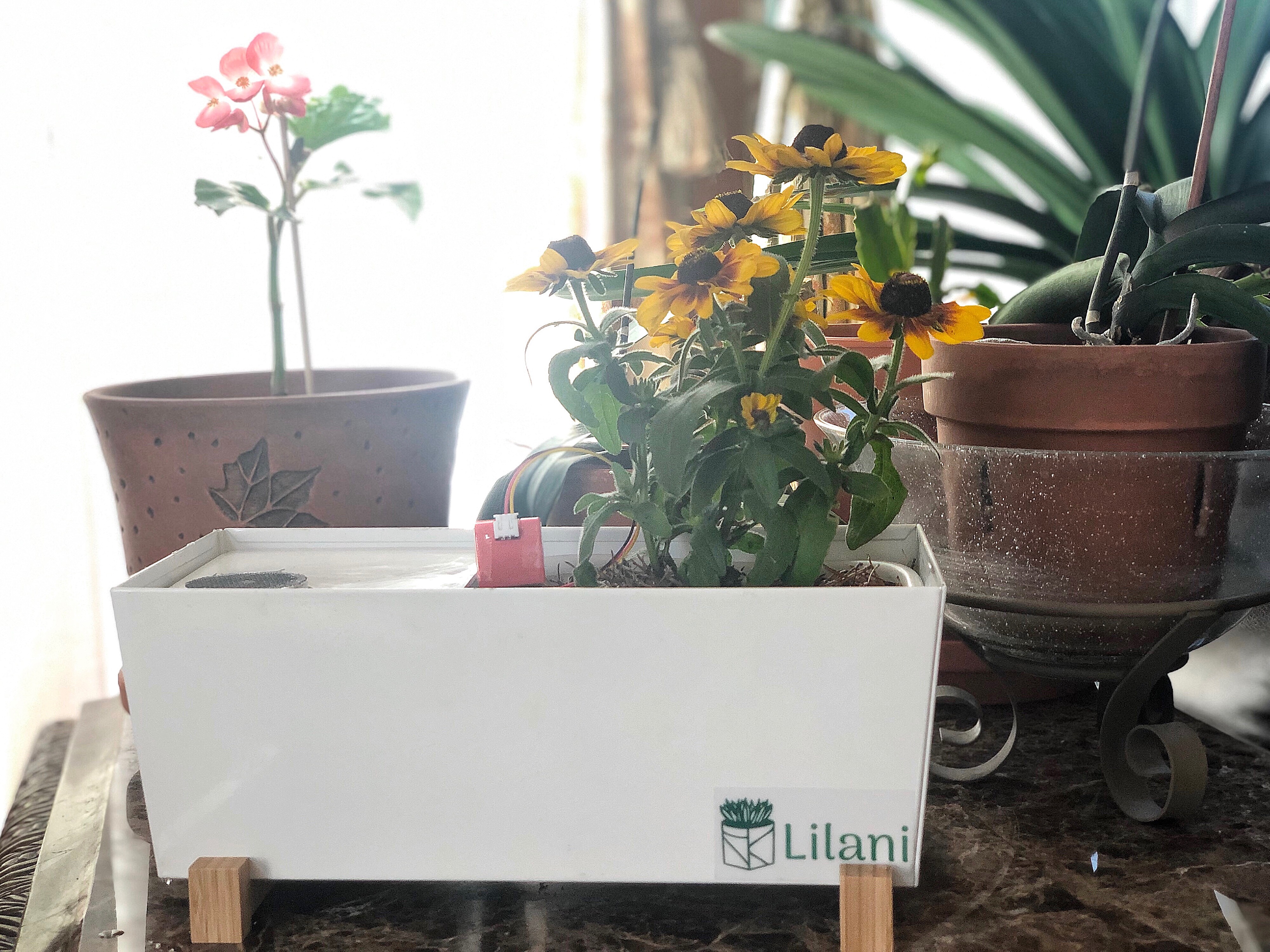 Picture of a Lilani Plant Pot with sensor